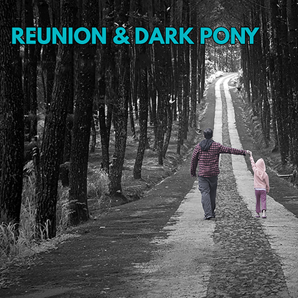 Reunion and Dark Pony